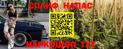 PSILOCYBIN Заволжье