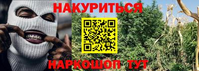 PSILOCYBIN Заволжье