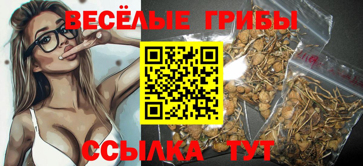 Галлюциногенные грибы Psilocybine cubensis Малоярославец