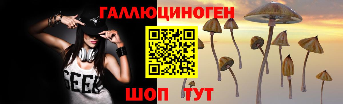 Галлюциногенные грибы Cubensis  Вход с VPN  Малоярославец 